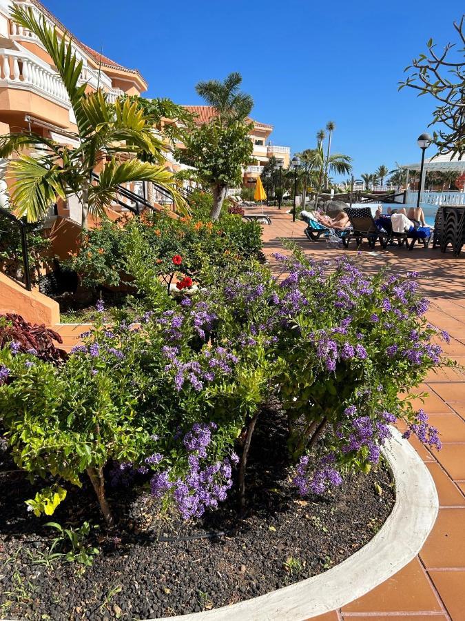 Comfort Apartment En Tenerife Royal Gardens Плая де лас Америкас Екстериор снимка